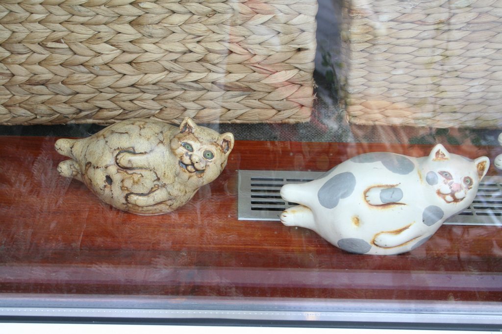 IMG_9038.JPG - Fokoty, czyli foko-koty