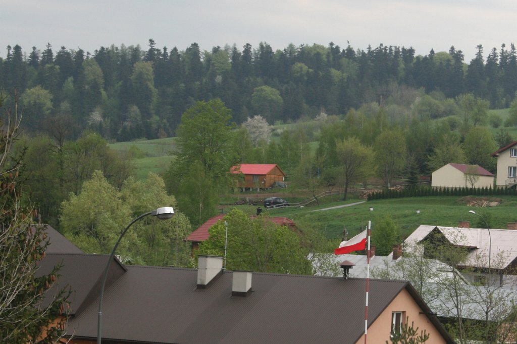 IMG_6136.JPG - W środku działka Wujka Wiśniewskiego