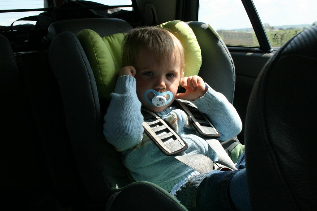 IMG_6243.JPG - Adaś . . . gdzieś koło Klimontowa