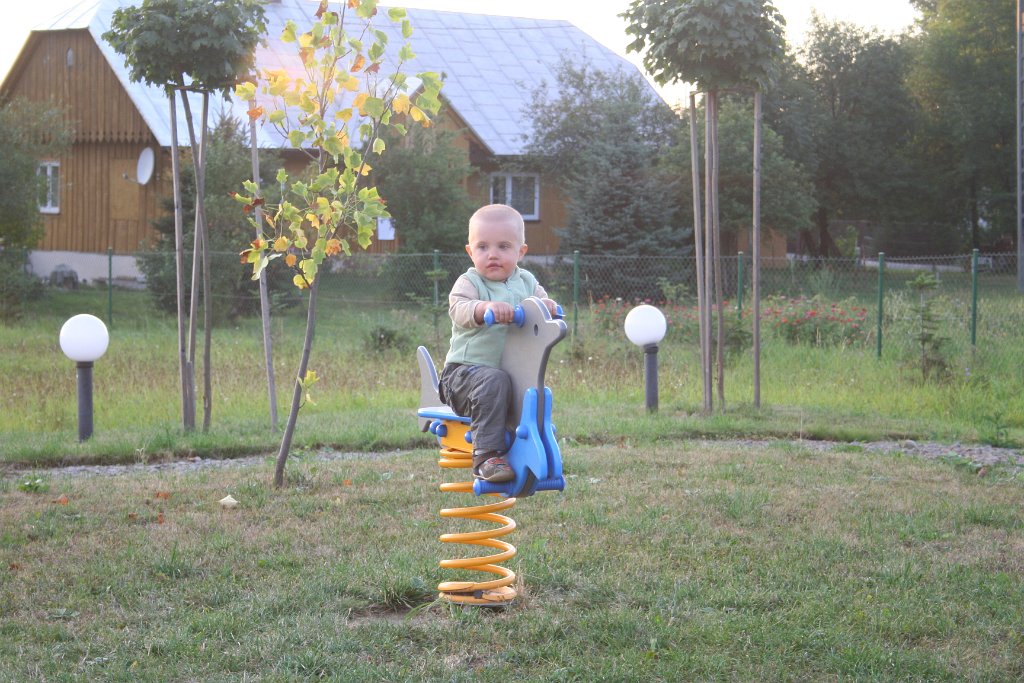 IMG_0211.JPG - Sprężynkowiec