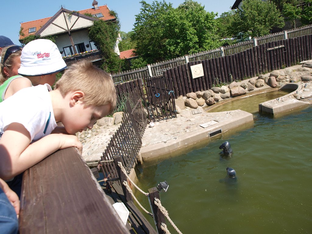 2014-05-23_P5239280.JPG - I gdzie te foki?