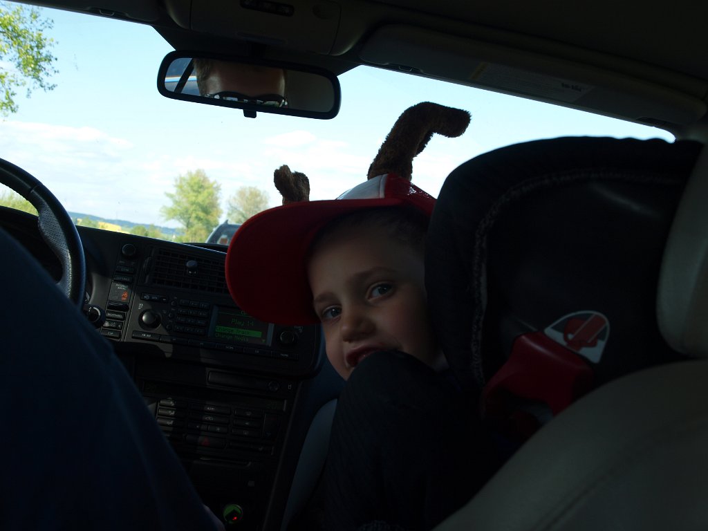 2014-05-04_P5049112.JPG - Łośczapka, czy raczej renifer?