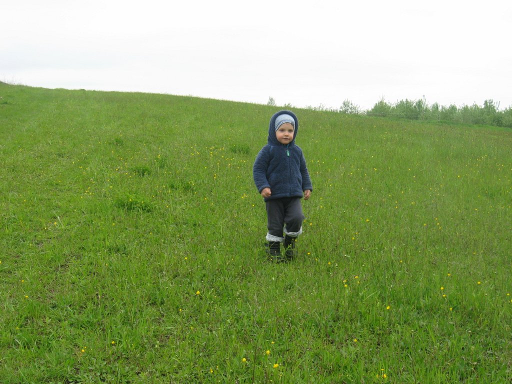 IMG_1413.JPG - Adaś na łące w Klimkówce