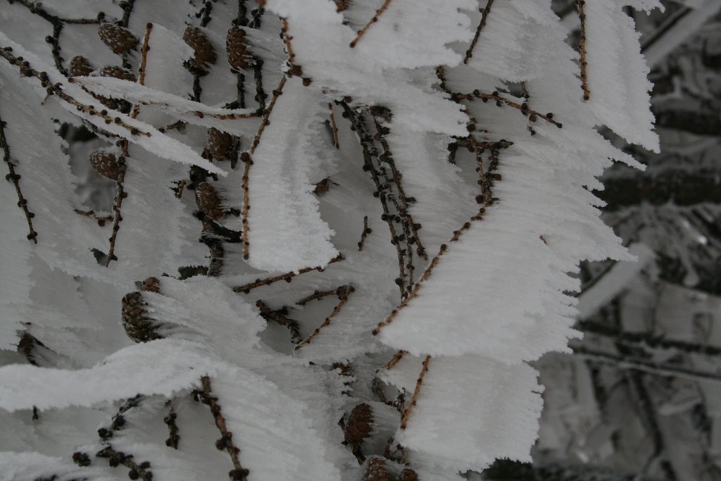 IMG_1933.JPG - Prawdziwa zima!