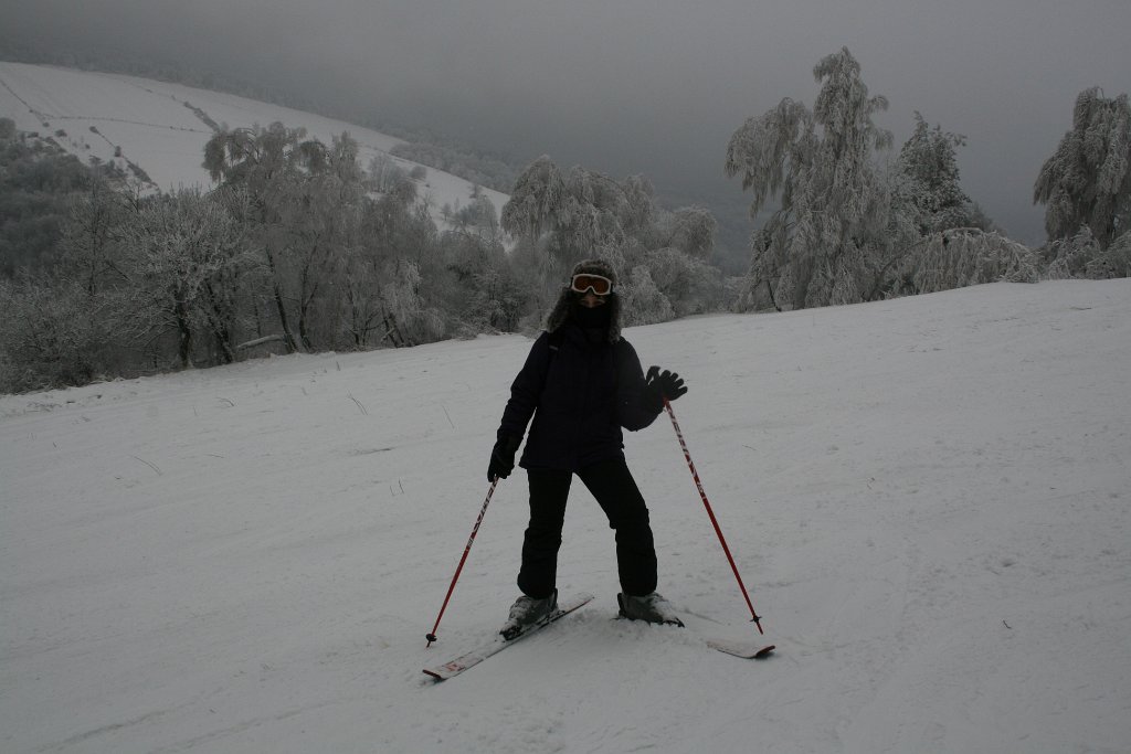 IMG_1938.JPG - Wiki na górze