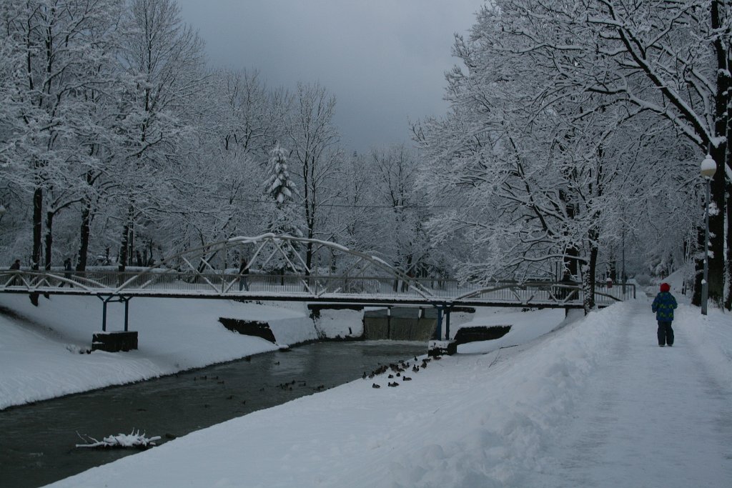 IMG_2126.JPG - Park w Rymanowie Zdroju - foto na pożegnanie