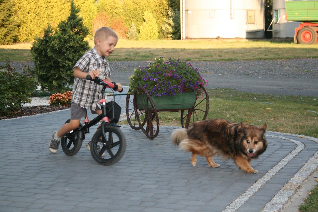 IMG_5599.JPG - Kto dogoni psa?