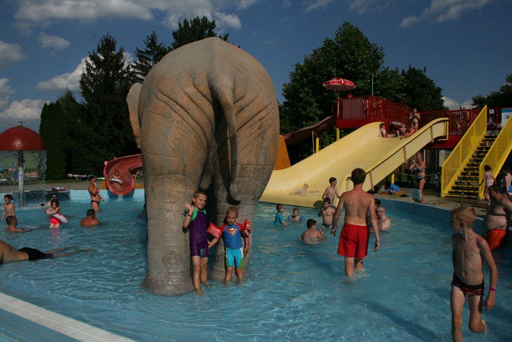 IMG_9738.JPG - Słoniowi spod ogona nie wypadliśmy!